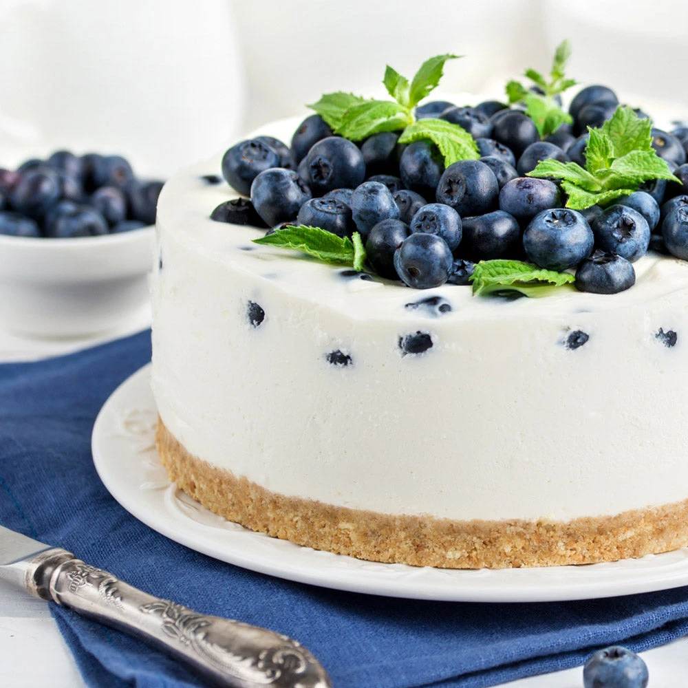 Sunshine Blue Blueberry Bush 4 Sunshine Blue Blueberry Bush - Image 4