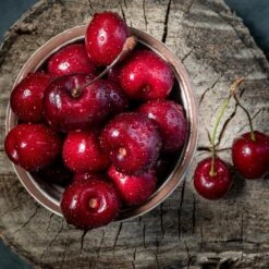 Santina™ Cherry Tree 6 Santina™ Cherry Tree -Fruit Tree Shop Santina Cherry 1