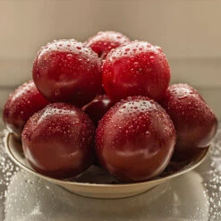 Satsuma Plum Tree -Fruit Tree Shop Satsuma Plum 3