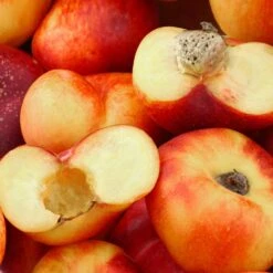 Saturn Peach Tree -Fruit Tree Shop Saturn Peach Tree 1