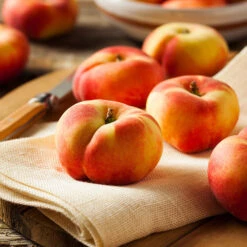 Fruit Tree Shop 9 Donut Saturn Peach Tree