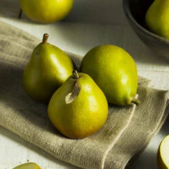 Seckel Pear Tree -Fruit Tree Shop Seckel Pear 5