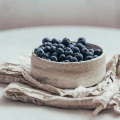 Sharpblue Blueberry Bush -Fruit Tree Shop Sharpblue Blueberry 1