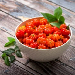 Star Cherry Tree (Pitanga) 9 Star Cherry Tree (Pitanga) -Fruit Tree Shop Star Cherry 3 FGT