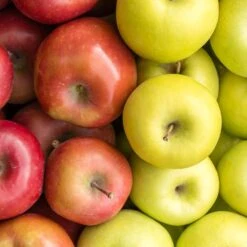 4-in-1 Apple Surprise Tree 6 4-in-1 Apple Surprise Tree -Fruit Tree Shop Surprise Apple 1 fd4b319d eb68 4ca8 b9dc 6ed8dd5560c3