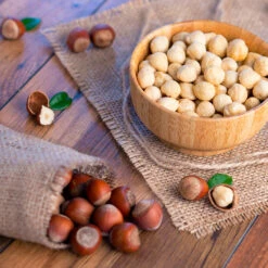 Theta Filbert Hazelnut -Fruit Tree Shop THeta FIlbert Hazelnut 4