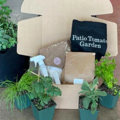 Patio Tomato Garden -Fruit Tree Shop Tomato Garden kit 2