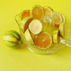 Pink Variegated Eureka Lemon Tree 10 Pink Variegated Eureka Lemon Tree -Fruit Tree Shop Variegated Pink Eureka 3