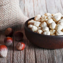 York Filbert Hazelnut -Fruit Tree Shop York Hazelnut 5